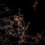 Signals to Solutions . . . The Role of EMG Testing in Assessing Nerve Damage